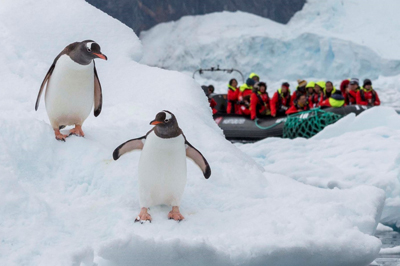 Antarctica With Chilean Fjords