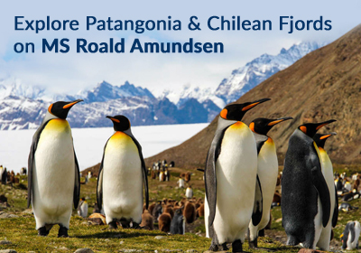 Explore Patangonia & Chilean Fjords on MS Roald Amundsen