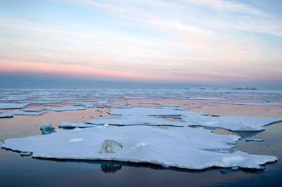 Spitsbergen & Arctic Adventure