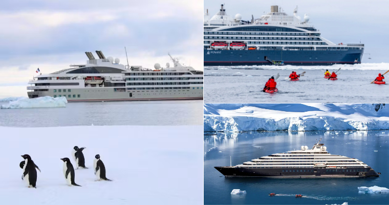Ponant:  Where French Elegance Meets Antarctic Adventure