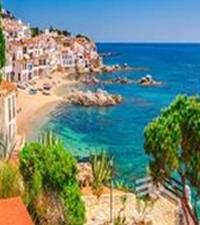 MSC Cruises