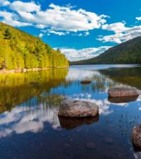 Norwegian Cruise Line