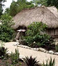 Norwegian Cruise Line (NCL)