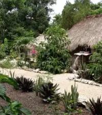 Norwegian Cruise Line (NCL)