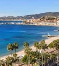 Norwegian Cruise Line (NCL)