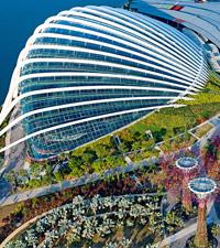 Royal Caribbean