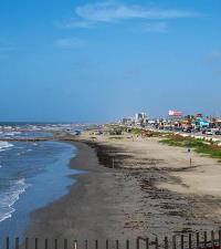 Royal Caribbean Cruises