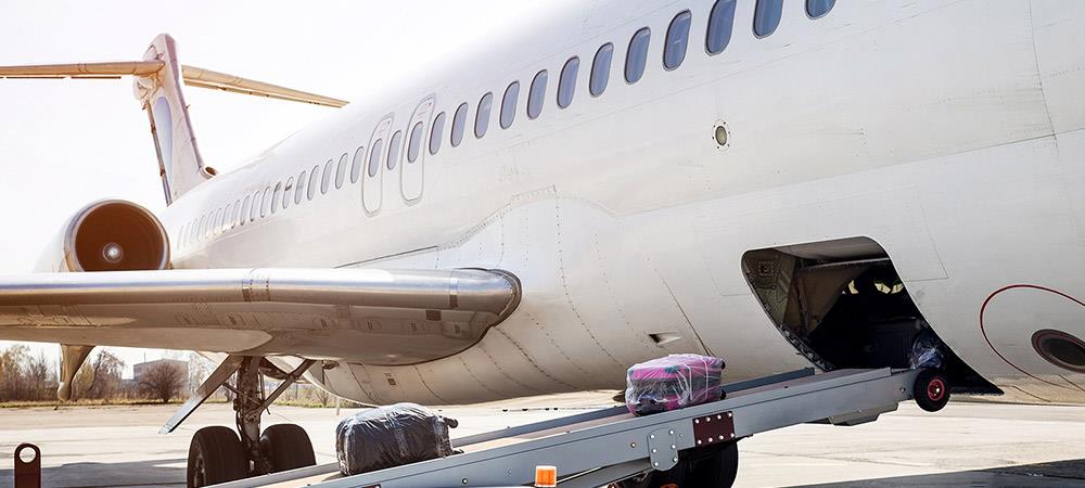 Delayed Luggage Protection with Blue Ribbon Bags