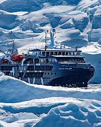 Ultimate Guide to Antarctica Cruises