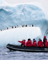 Finding the Best Cruises Antarctica