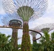 10 Nights Southeast Asia Cruise