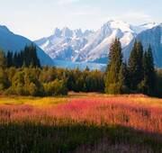 10 Nights Voyage Inside Passage Roundtrip San Francisco