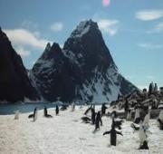 12 Nights Crossing the Antarctic Circle