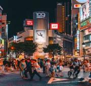 12 Nights Singapore to Tokyo Cruise