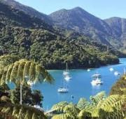 14 Nights New Zealand