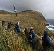 16 Days Antarctica & Falkland Expedition Cruise
