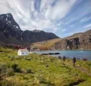 18 Nights Falkland Islands - South Georgia - Antarctica