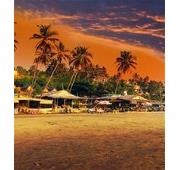 3 Nights Goa Lakshadweep to Mumbai Cruise
