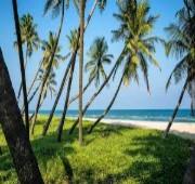 3 Nights Puducherry (one way) Cruise