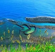 5 Nights Naha - Keelung - Peng Hu Cruise