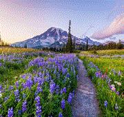 7 Nights Alaska: Dawes Glacier, Juneau & Sitka