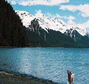 7 Nights Southbound Alaska & Hubbard Glacier