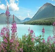 7 Nights Voyage Inside Passage Vancouver to Seattle