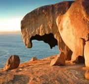 9 Nights Australia Wine