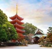 9 Nights Best Of Japan & South Korea