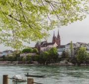 9 Nights Best of the Rhine and Amsterdam - Basel to Amsterdam