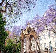 9 Nights Europe: Spain, Morocco & Canary Islands