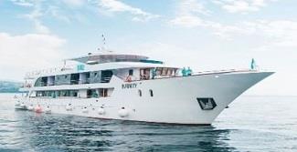MS Infinity